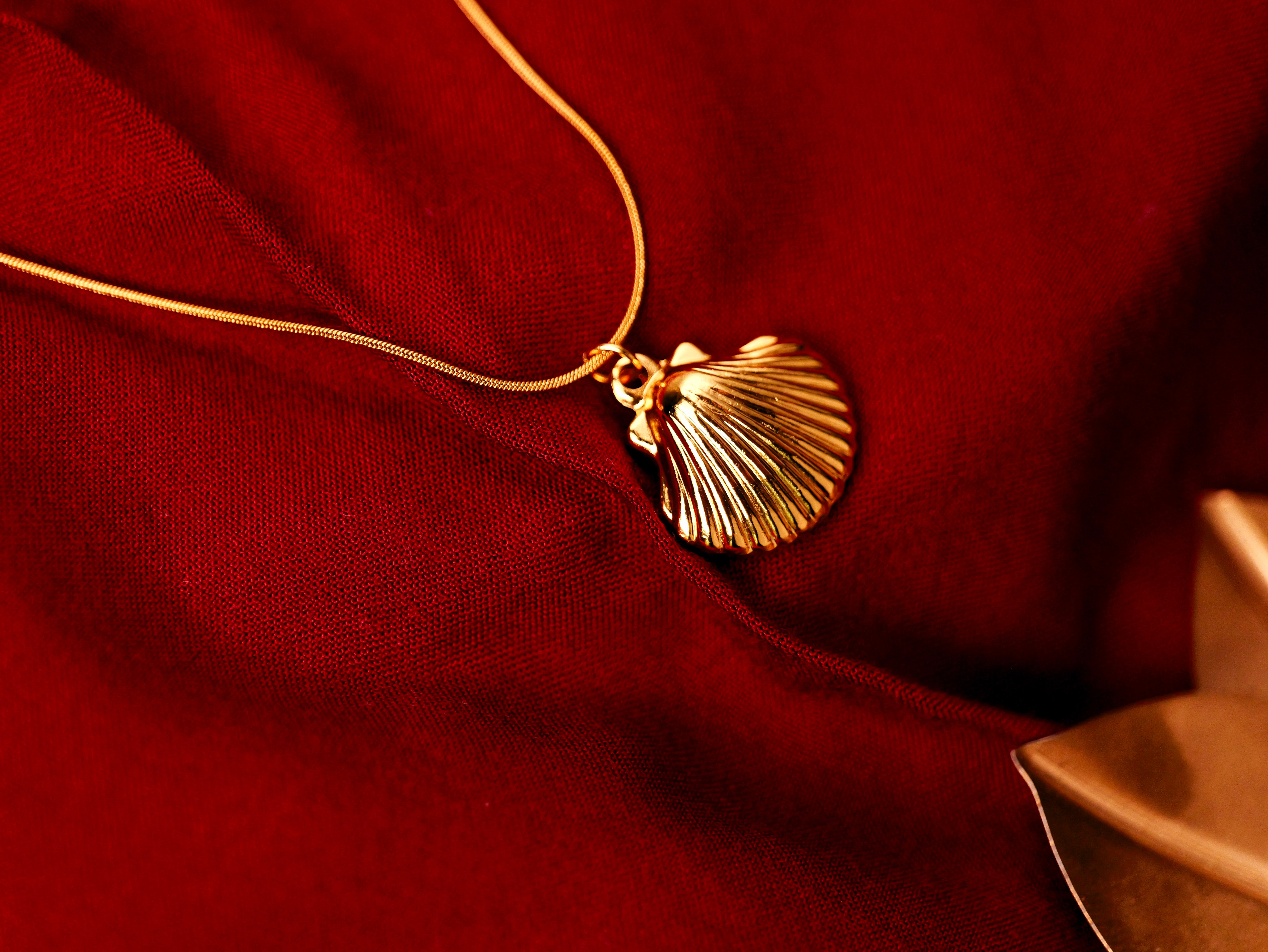 🌊 Golden Seashell Pendant Necklace