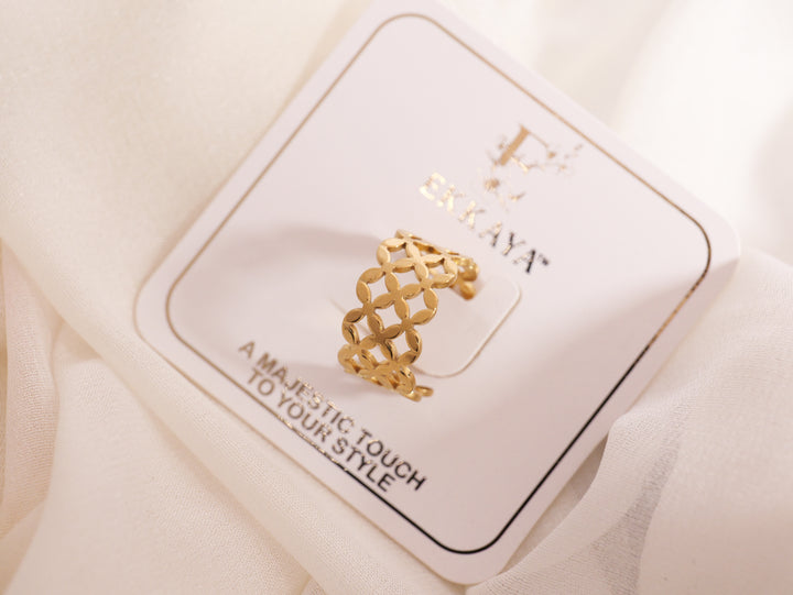 Geometric Lattice Ring