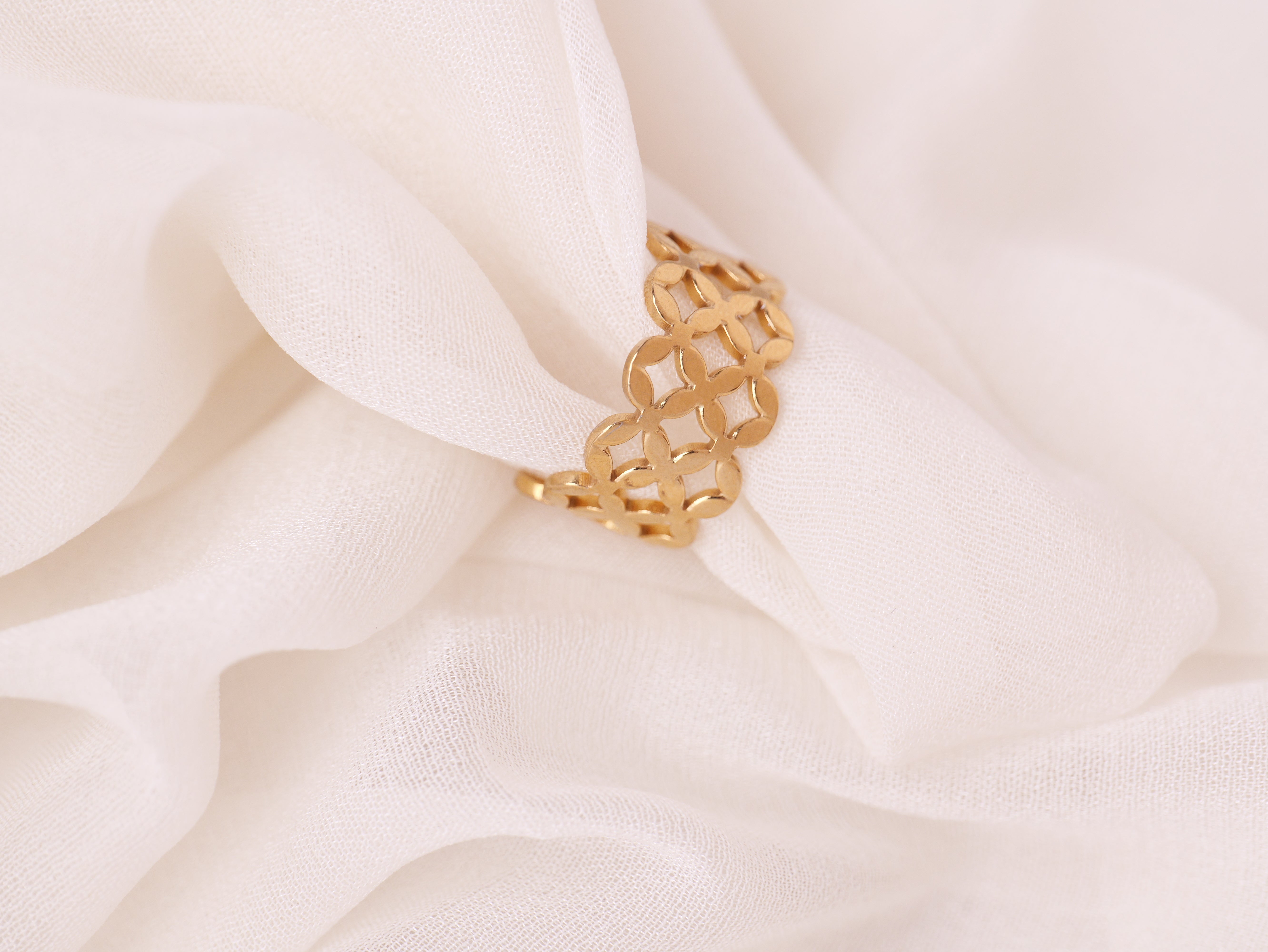 Geometric Lattice Ring