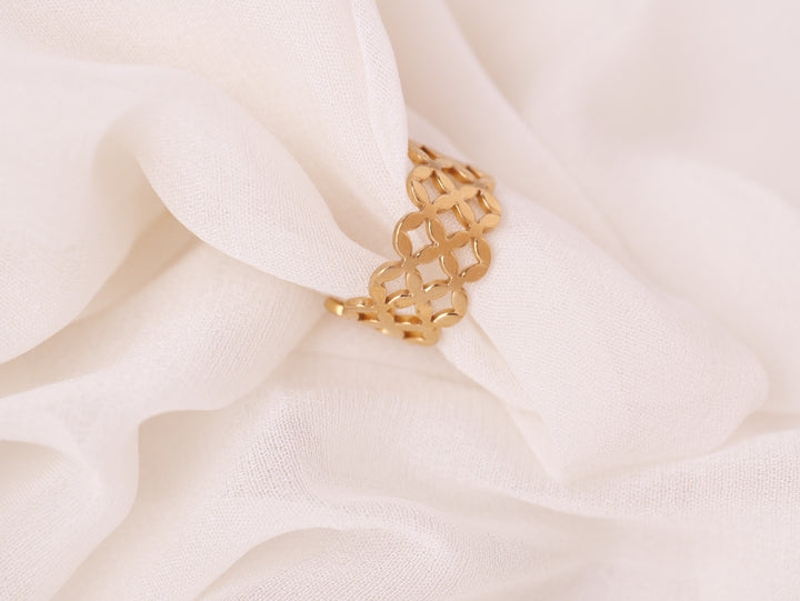 Geometric Lattice Ring