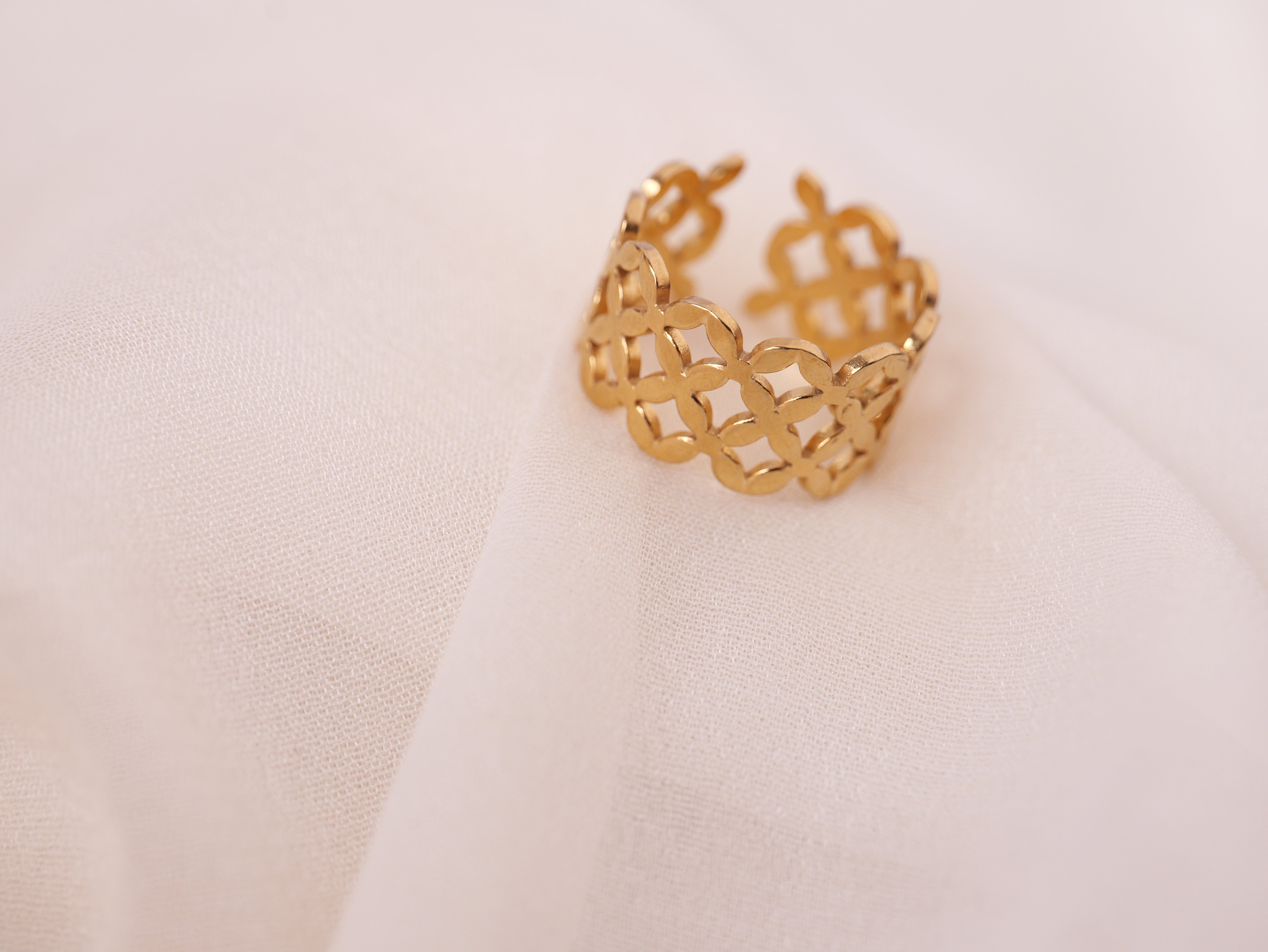 Geometric Lattice Ring