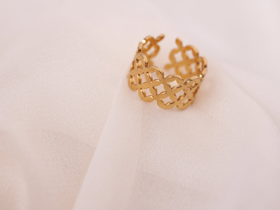 Geometric Lattice Ring